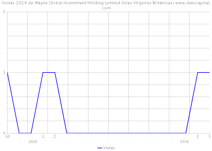 Visitas 2024 de Wayne Global Investment Holding Limited (Islas Vírgenes Británicas) 