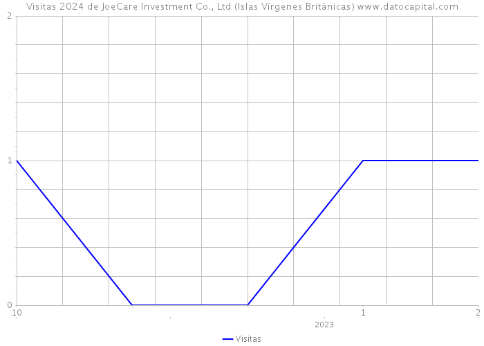 Visitas 2024 de JoeCare Investment Co., Ltd (Islas Vírgenes Británicas) 