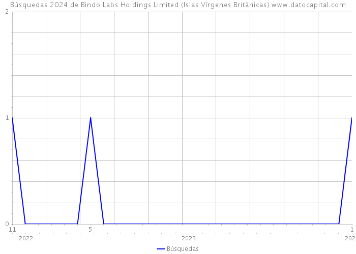 Búsquedas 2024 de Bindo Labs Holdings Limited (Islas Vírgenes Británicas) 