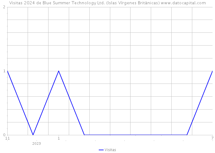 Visitas 2024 de Blue Summer Technology Ltd. (Islas Vírgenes Británicas) 