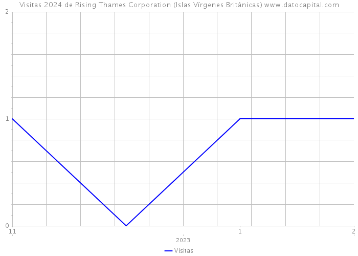 Visitas 2024 de Rising Thames Corporation (Islas Vírgenes Británicas) 