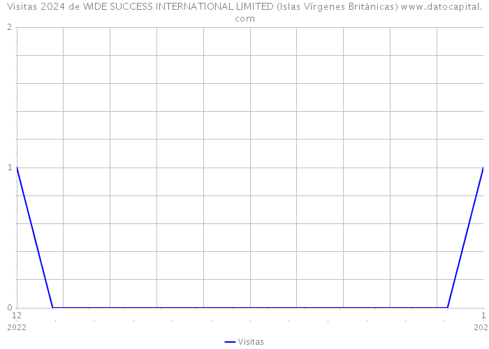 Visitas 2024 de WIDE SUCCESS INTERNATIONAL LIMITED (Islas Vírgenes Británicas) 