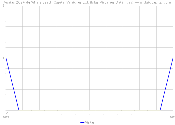 Visitas 2024 de Whale Beach Capital Ventures Ltd. (Islas Vírgenes Británicas) 