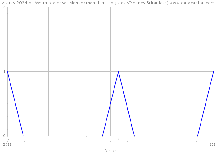 Visitas 2024 de Whitmore Asset Management Limited (Islas Vírgenes Británicas) 