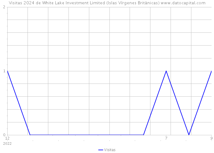 Visitas 2024 de White Lake Investment Limited (Islas Vírgenes Británicas) 