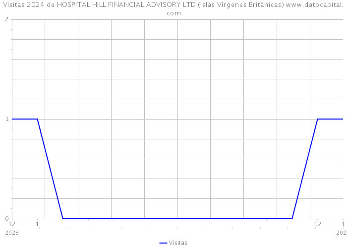 Visitas 2024 de HOSPITAL HILL FINANCIAL ADVISORY LTD (Islas Vírgenes Británicas) 