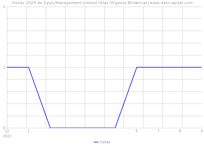 Visitas 2024 de Zippy Management Limited (Islas Vírgenes Británicas) 