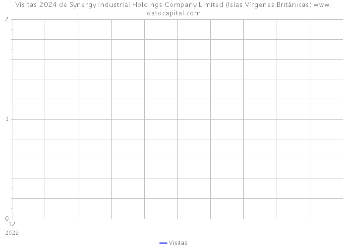 Visitas 2024 de Synergy Industrial Holdings Company Limited (Islas Vírgenes Británicas) 