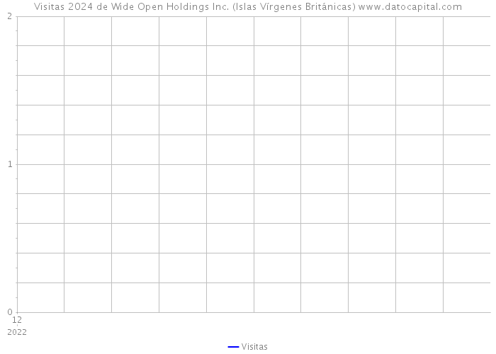 Visitas 2024 de Wide Open Holdings Inc. (Islas Vírgenes Británicas) 