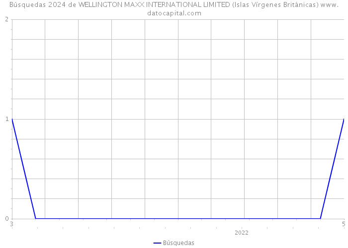Búsquedas 2024 de WELLINGTON MAXX INTERNATIONAL LIMITED (Islas Vírgenes Británicas) 