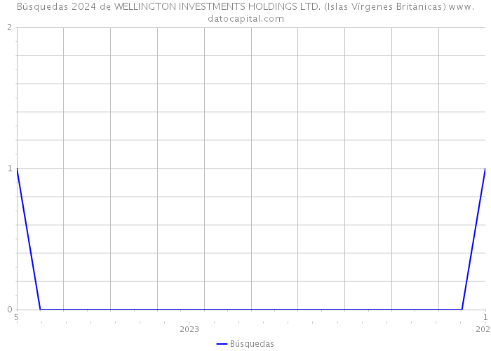 Búsquedas 2024 de WELLINGTON INVESTMENTS HOLDINGS LTD. (Islas Vírgenes Británicas) 