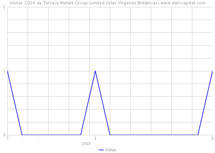 Visitas 2024 de Terrace Metals Group Limited (Islas Vírgenes Británicas) 
