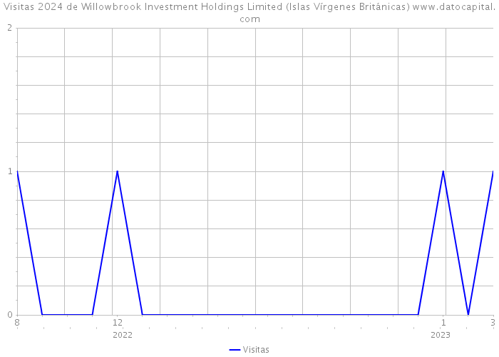 Visitas 2024 de Willowbrook Investment Holdings Limited (Islas Vírgenes Británicas) 