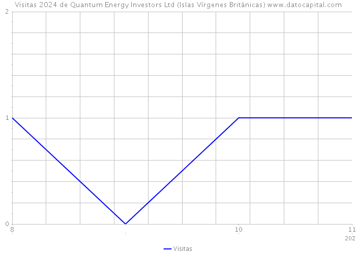 Visitas 2024 de Quantum Energy Investors Ltd (Islas Vírgenes Británicas) 