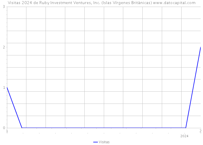 Visitas 2024 de Ruby Investment Ventures, Inc. (Islas Vírgenes Británicas) 