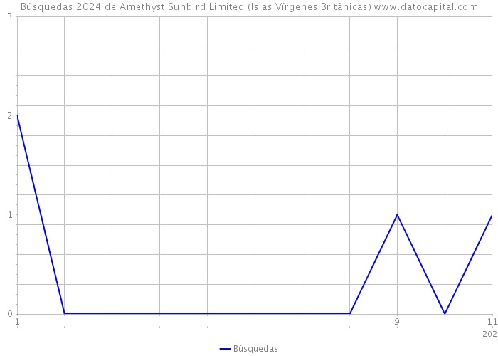 Búsquedas 2024 de Amethyst Sunbird Limited (Islas Vírgenes Británicas) 