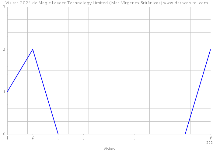 Visitas 2024 de Magic Leader Technology Limited (Islas Vírgenes Británicas) 