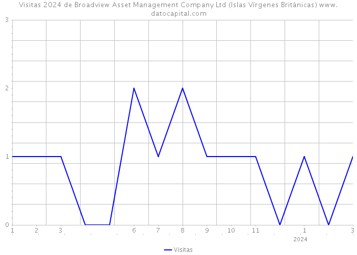 Visitas 2024 de Broadview Asset Management Company Ltd (Islas Vírgenes Británicas) 