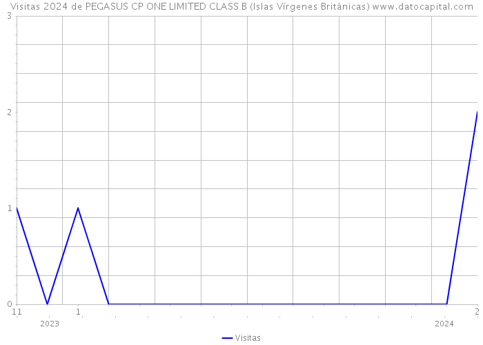 Visitas 2024 de PEGASUS CP ONE LIMITED CLASS B (Islas Vírgenes Británicas) 