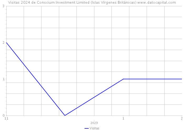 Visitas 2024 de Conscium Investment Limited (Islas Vírgenes Británicas) 