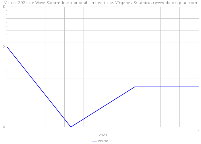 Visitas 2024 de Wave Blooms International Limited (Islas Vírgenes Británicas) 