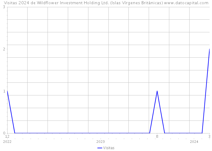 Visitas 2024 de Wildflower Investment Holding Ltd. (Islas Vírgenes Británicas) 