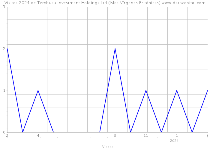 Visitas 2024 de Tembusu Investment Holdings Ltd (Islas Vírgenes Británicas) 