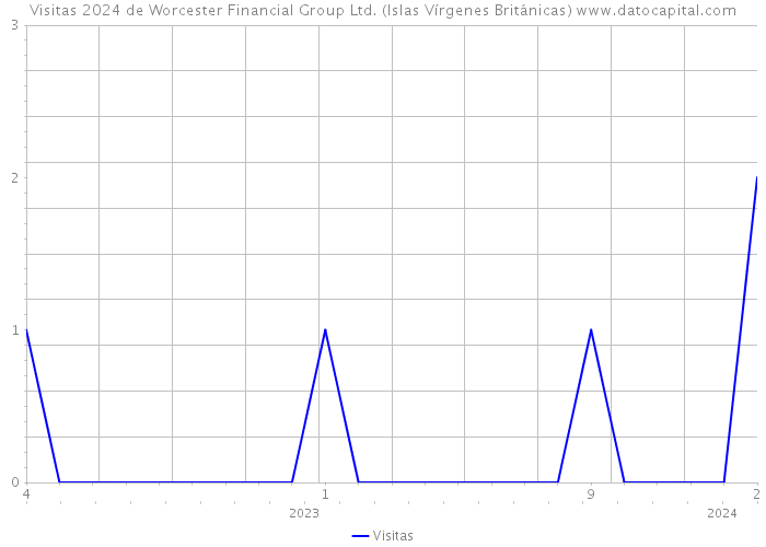 Visitas 2024 de Worcester Financial Group Ltd. (Islas Vírgenes Británicas) 