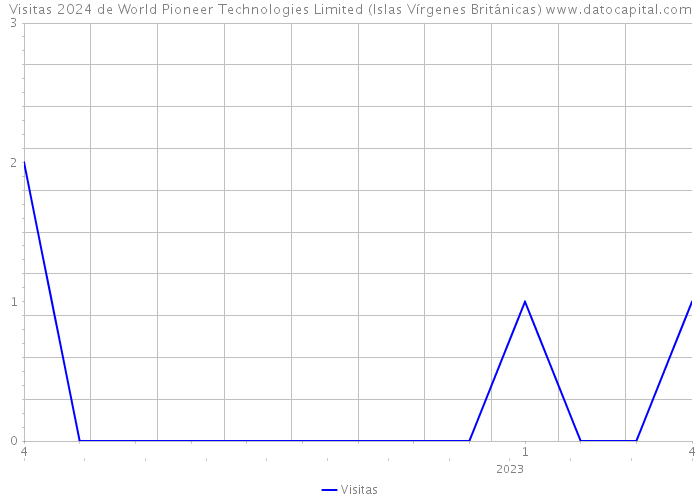 Visitas 2024 de World Pioneer Technologies Limited (Islas Vírgenes Británicas) 