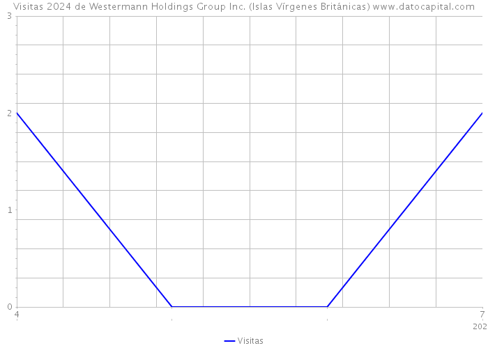 Visitas 2024 de Westermann Holdings Group Inc. (Islas Vírgenes Británicas) 