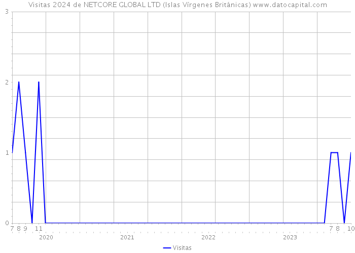 Visitas 2024 de NETCORE GLOBAL LTD (Islas Vírgenes Británicas) 