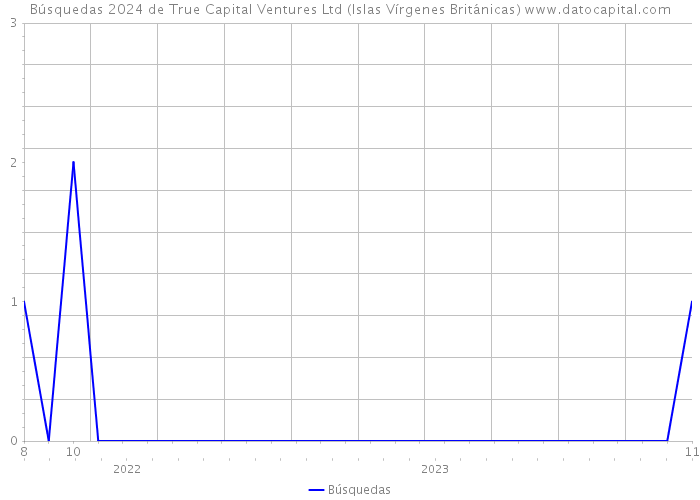 Búsquedas 2024 de True Capital Ventures Ltd (Islas Vírgenes Británicas) 