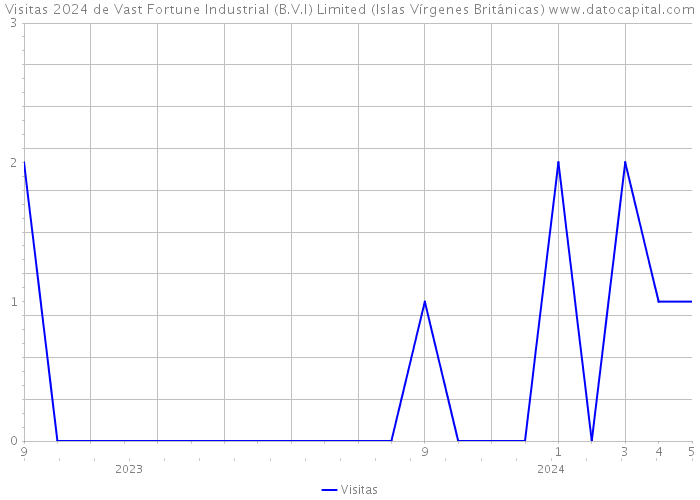 Visitas 2024 de Vast Fortune Industrial (B.V.I) Limited (Islas Vírgenes Británicas) 