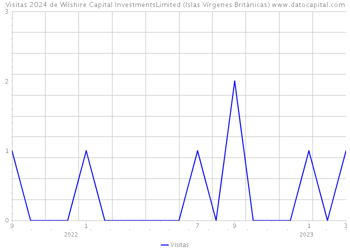 Visitas 2024 de Wilshire Capital InvestmentsLimited (Islas Vírgenes Británicas) 