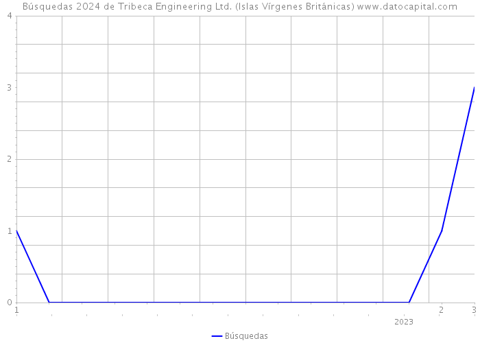 Búsquedas 2024 de Tribeca Engineering Ltd. (Islas Vírgenes Británicas) 
