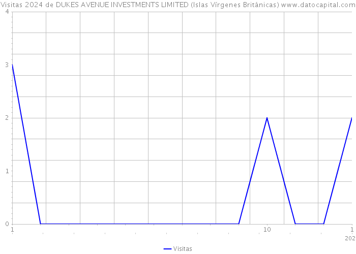 Visitas 2024 de DUKES AVENUE INVESTMENTS LIMITED (Islas Vírgenes Británicas) 