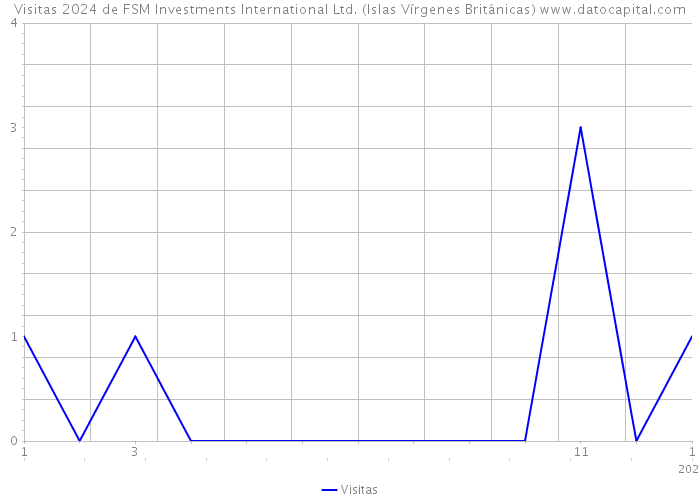 Visitas 2024 de FSM Investments International Ltd. (Islas Vírgenes Británicas) 