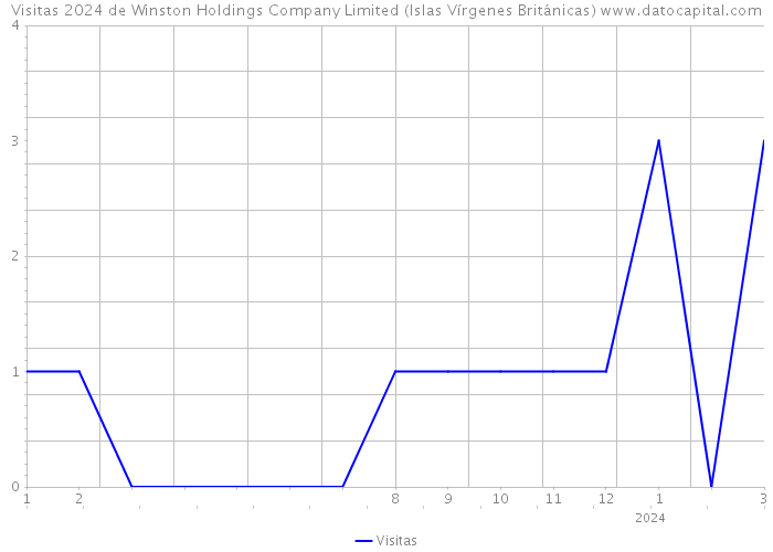 Visitas 2024 de Winston Holdings Company Limited (Islas Vírgenes Británicas) 