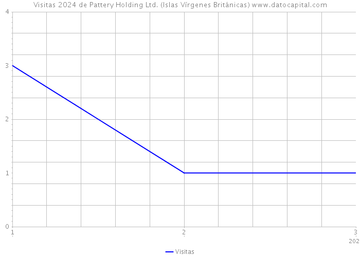 Visitas 2024 de Pattery Holding Ltd. (Islas Vírgenes Británicas) 