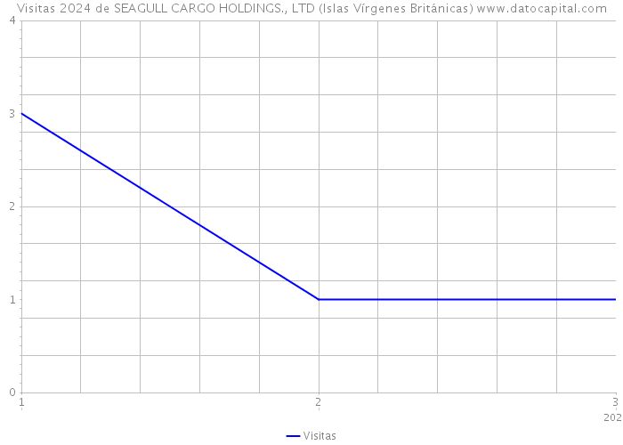 Visitas 2024 de SEAGULL CARGO HOLDINGS., LTD (Islas Vírgenes Británicas) 