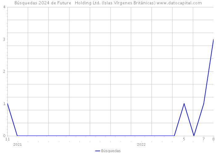Búsquedas 2024 de Future + Holding Ltd. (Islas Vírgenes Británicas) 
