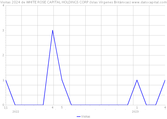 Visitas 2024 de WHITE ROSE CAPITAL HOLDINGS CORP (Islas Vírgenes Británicas) 