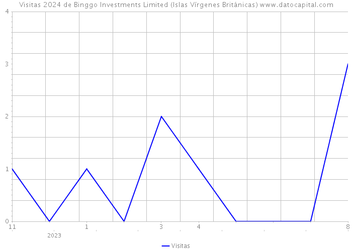 Visitas 2024 de Binggo Investments Limited (Islas Vírgenes Británicas) 