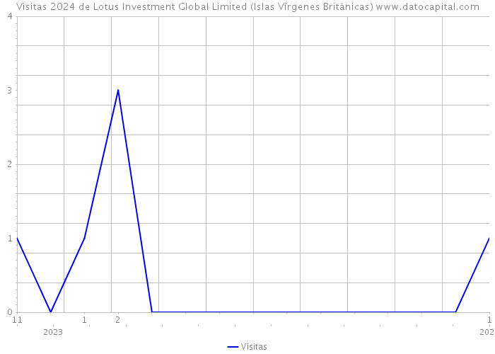Visitas 2024 de Lotus Investment Global Limited (Islas Vírgenes Británicas) 