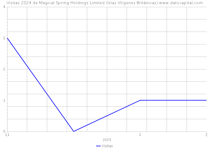 Visitas 2024 de Magical Spring Holdings Limited (Islas Vírgenes Británicas) 