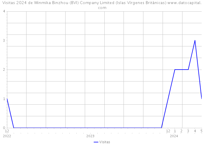 Visitas 2024 de Winmika Binzhou (BVI) Company Limited (Islas Vírgenes Británicas) 