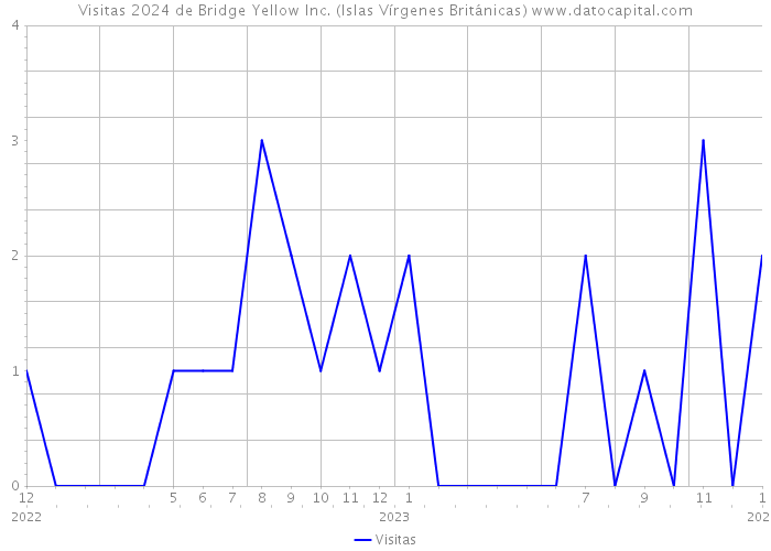 Visitas 2024 de Bridge Yellow Inc. (Islas Vírgenes Británicas) 