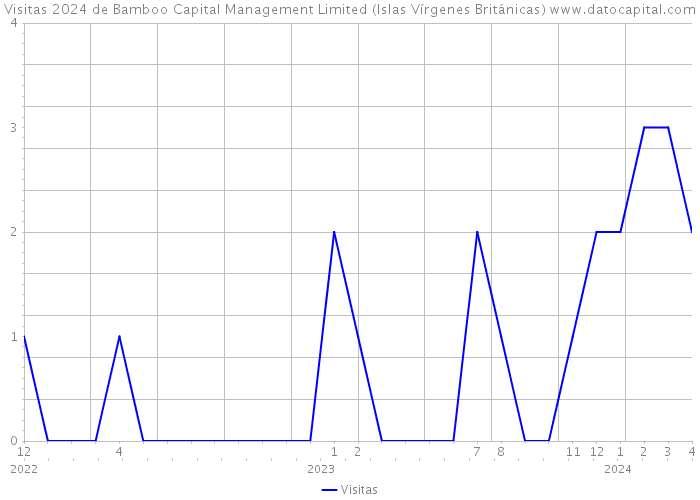Visitas 2024 de Bamboo Capital Management Limited (Islas Vírgenes Británicas) 