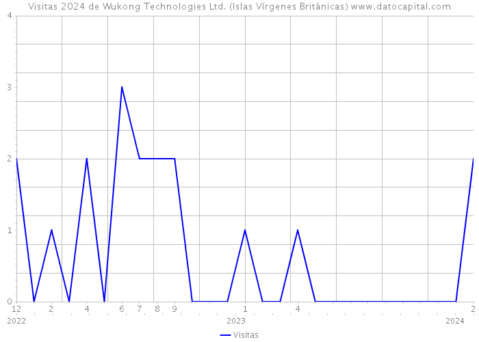Visitas 2024 de Wukong Technologies Ltd. (Islas Vírgenes Británicas) 