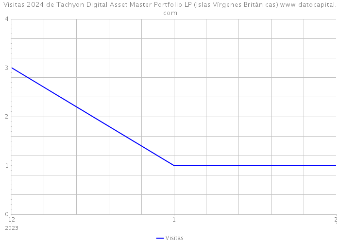 Visitas 2024 de Tachyon Digital Asset Master Portfolio LP (Islas Vírgenes Británicas) 